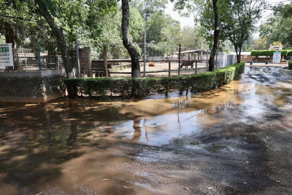 inundación zoo de morelia 5