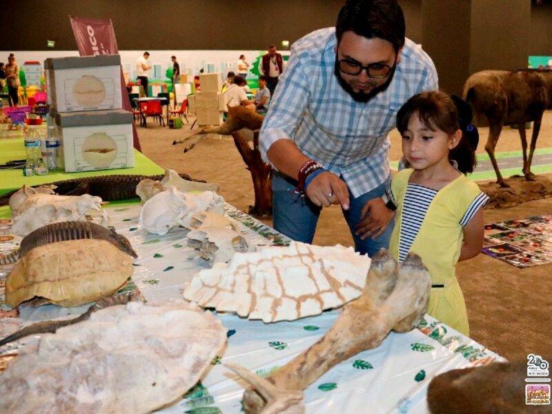 invitan a niños a explorar la fauna en Festival Michoacán de Origen