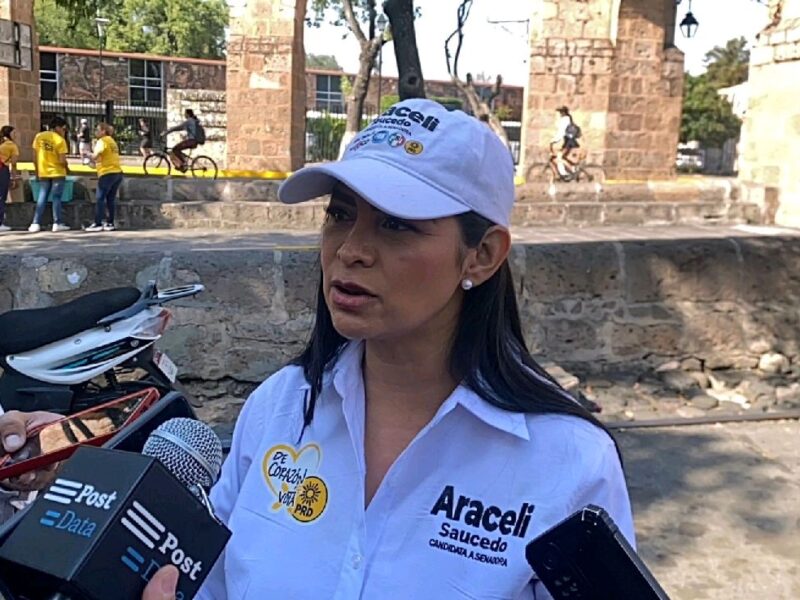 Mano dura leyes medioambientales Araceli Saucedo