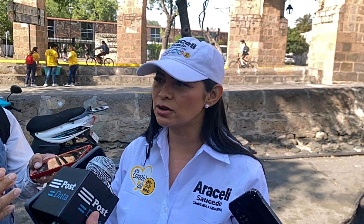 Mano dura leyes medioambientales Araceli Saucedo