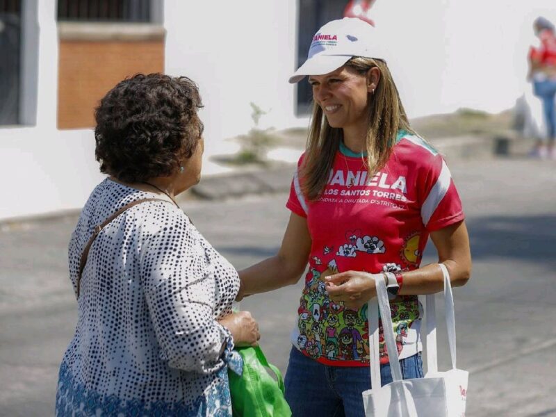 niñez y seguridad daniela de los santos