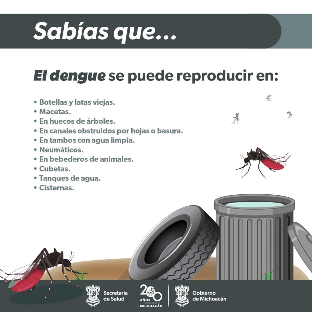 piden elevar acciones para prevenir el dengue