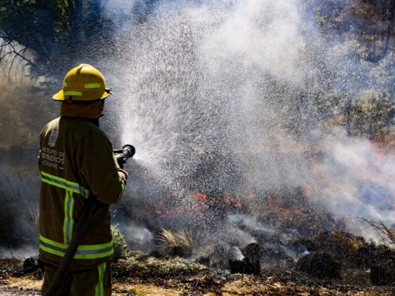 piden reportar incendio forestal ante números de contacto