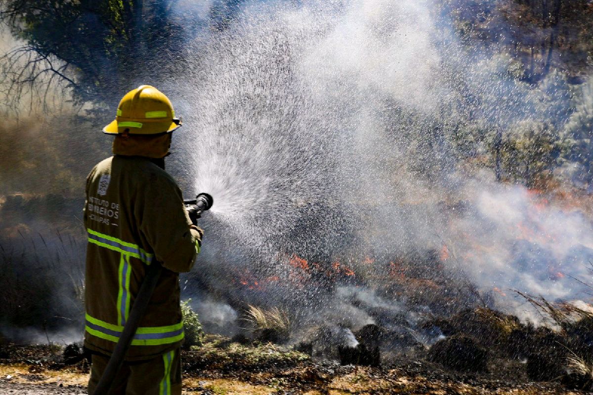 piden reportar incendio forestal ante números de contacto