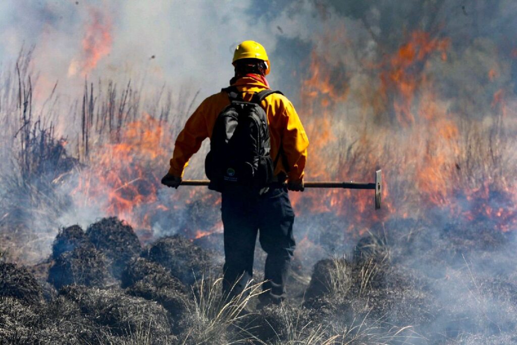 Refuerzan prevención de incendios forestales en Michoacán