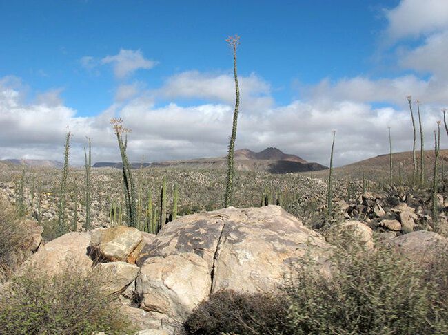 Reserva natural protegida más grande Michoacán - panorámica