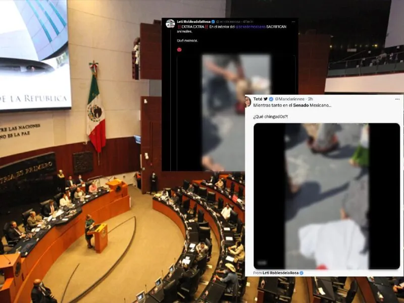 Sacrificio de gallina en el Senado provoca polémica nacional