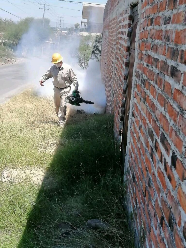 SSM implementa control dengue en Michoacán - casa