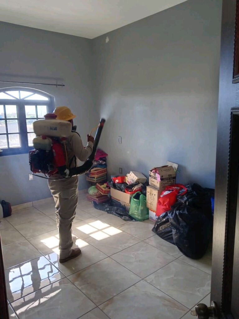 SSM implementa control dengue en Michoacán - hogares