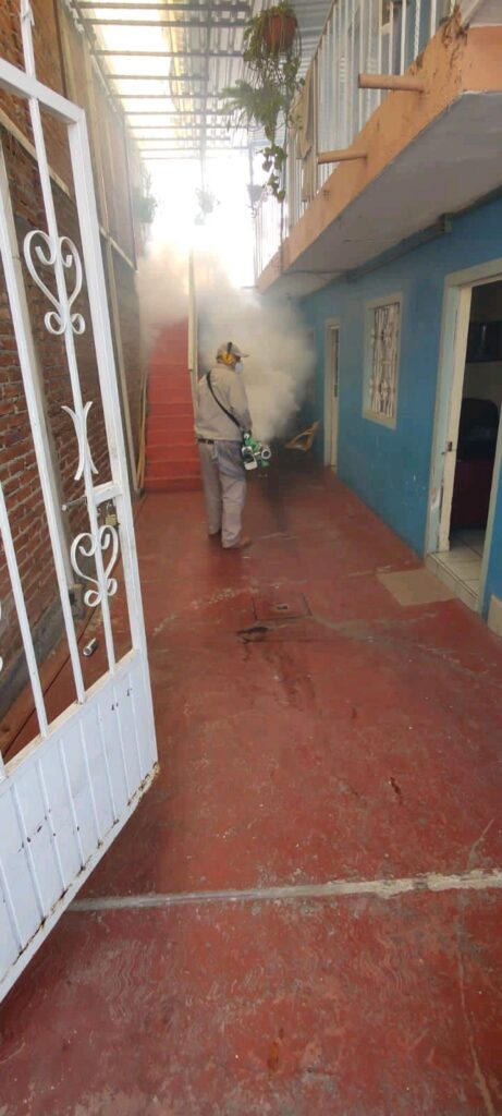 SSM implementa control dengue en Michoacán - vecindades