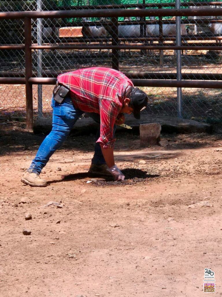 Zoo de Morelia animales reciben cuidados- cuidadores