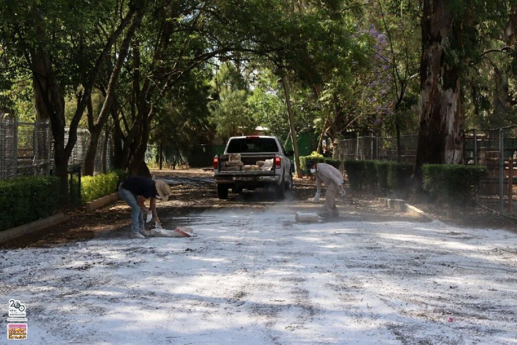 Zoológico de Morelia exige legalidad en afectación ambiental