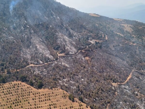 Helicóptero sobrevuela incendio forestal en Purépero y Zacapu; brigadas atienden por tierra
