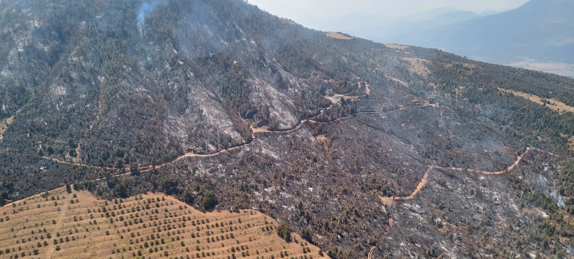Helicóptero sobrevuela incendio forestal en Purépero y Zacapu; brigadas atienden por tierra