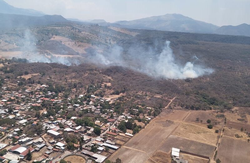 Helicóptero sobrevuela incendio forestal en Jiménez; continúa atención por tierra