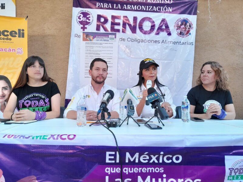 agenda feminista méxico araceli saucedo