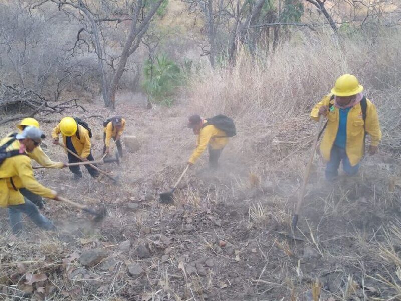 brigadista fallece en incendio forestal en Tuxpan