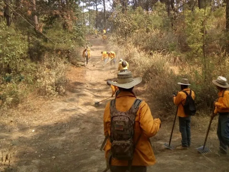 Combaten incendio forestal en Zinapécuaro