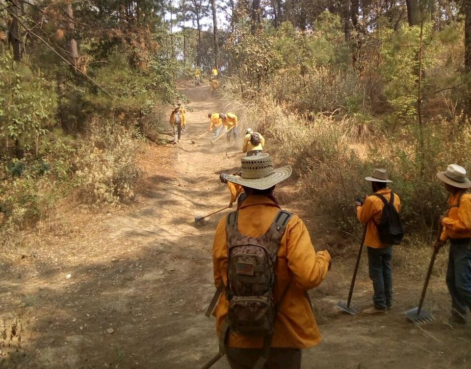 combate a incendio forestal zinapécuaro