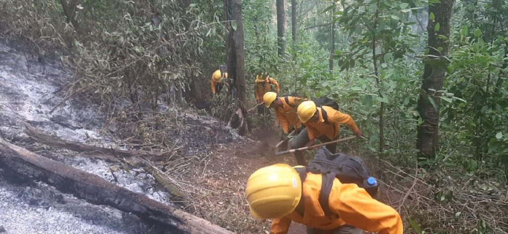 contienen incendio forestal en Morelia - brigadistas