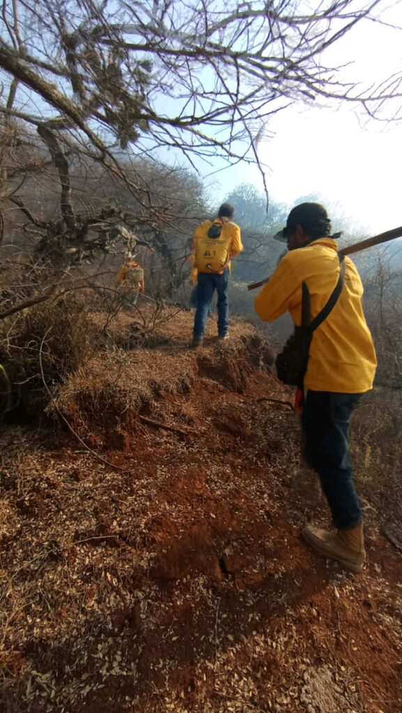 contienen incendio forestal en Morelia - cerro