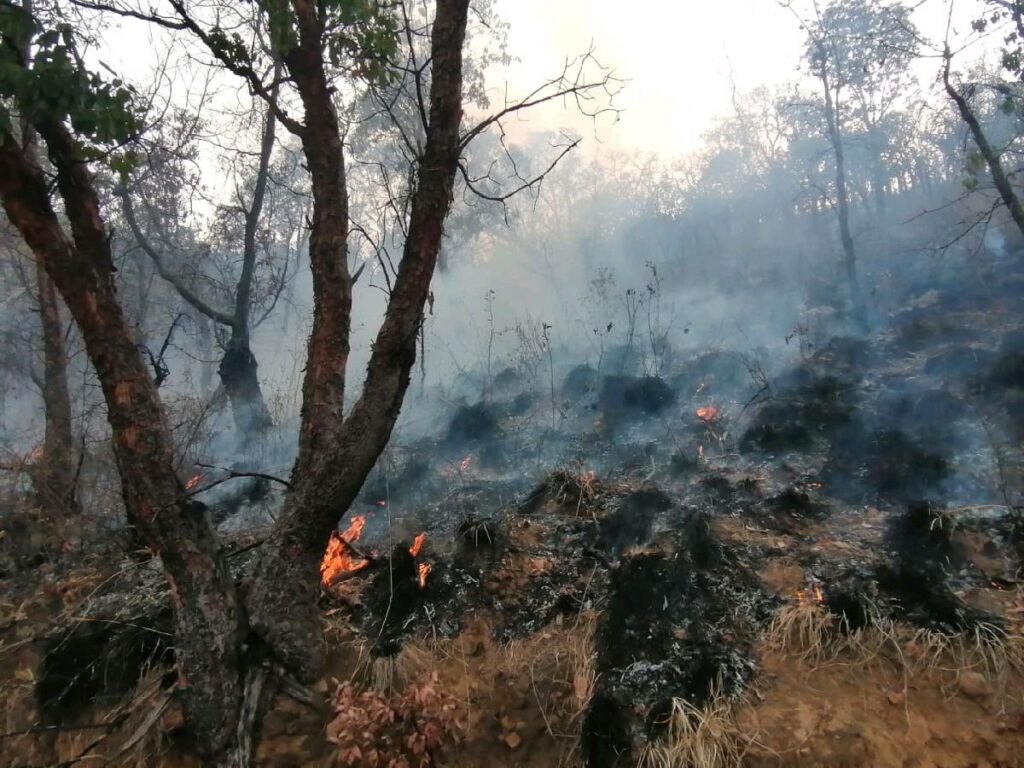 contienen incendio forestal en Morelia - fuego