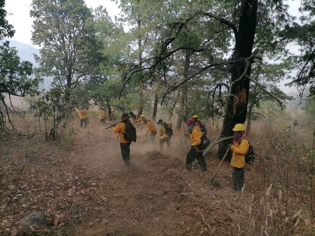 contienen incendio forestal en Morelia