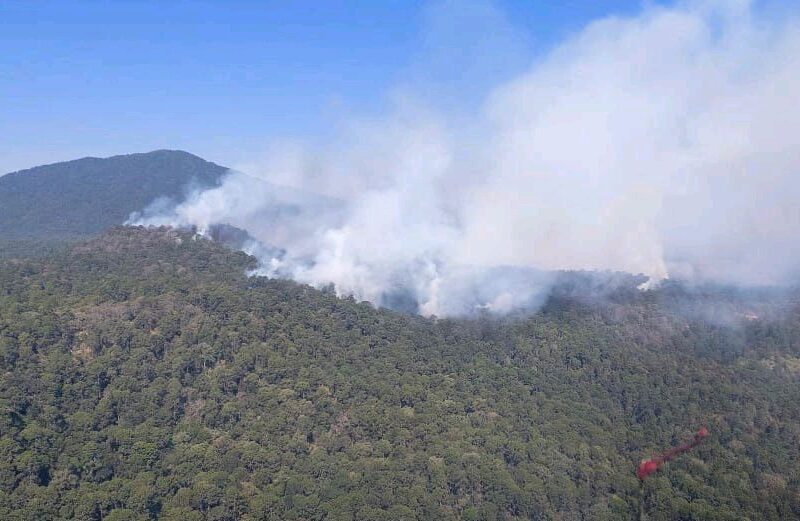 control de incendio forestal pátzcuaro