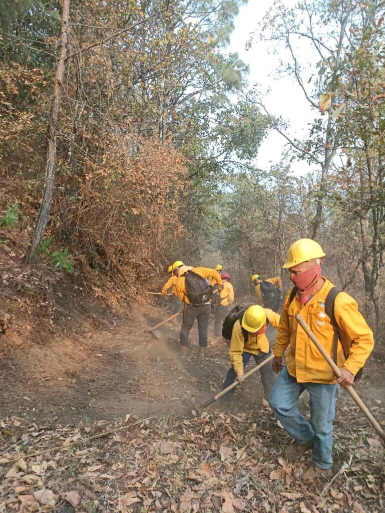 Control del Incendio Forestal en Uruapan Michoacán