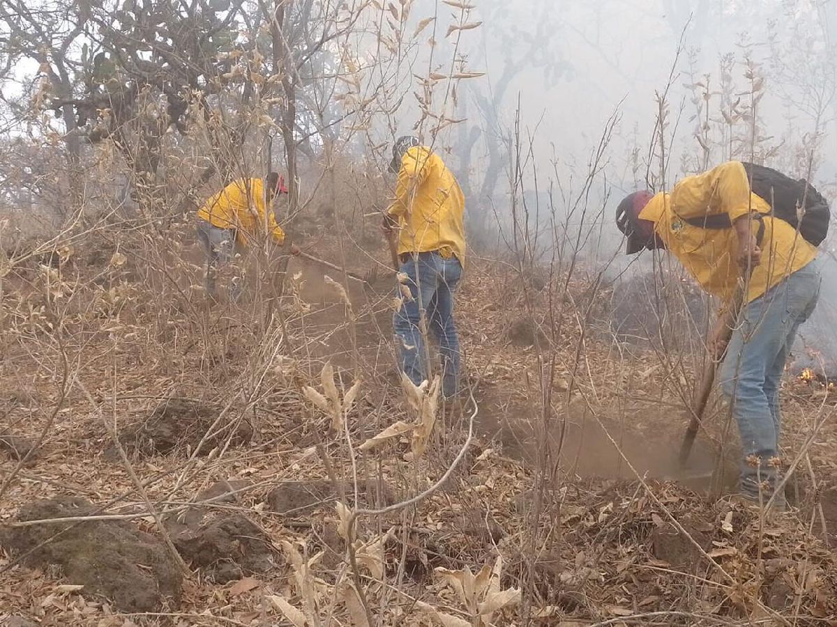 Controlados los incendios forestales en Pátzcuaro y Reserva de la Monarca