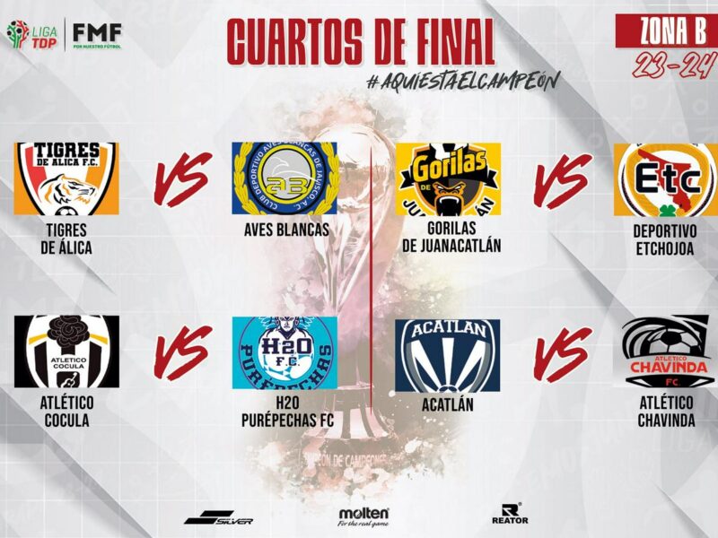 cuartos de final liga tdp