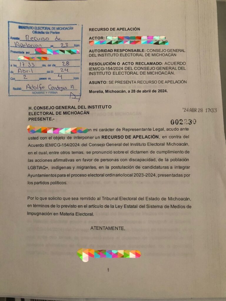 Michoacán es Diversidad impugnó diputaciones no solo alcaldías LGBT