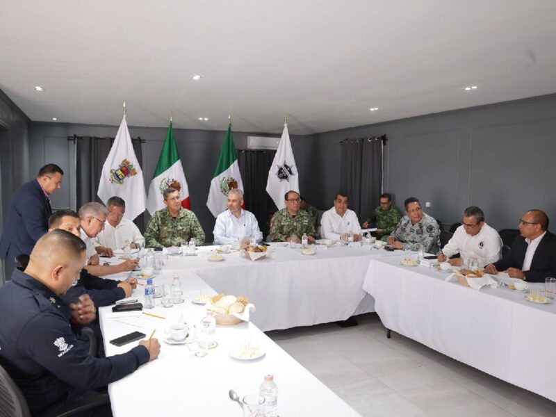 Ejército en las elecciones en Michoacán