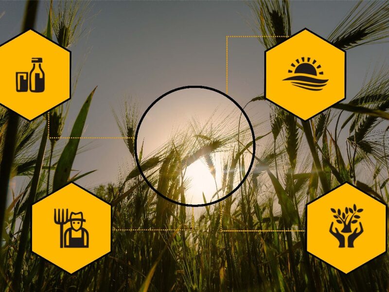 estiman impulso del desarrollo en México con narshorig agrícola