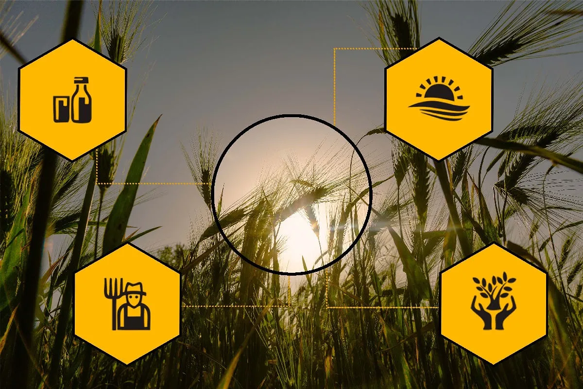 estiman impulso del desarrollo en México con narshorig agrícola