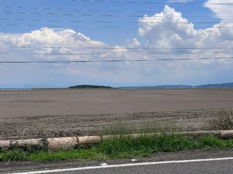 lago de cuitzeo enfrenta sequía en Michoacán