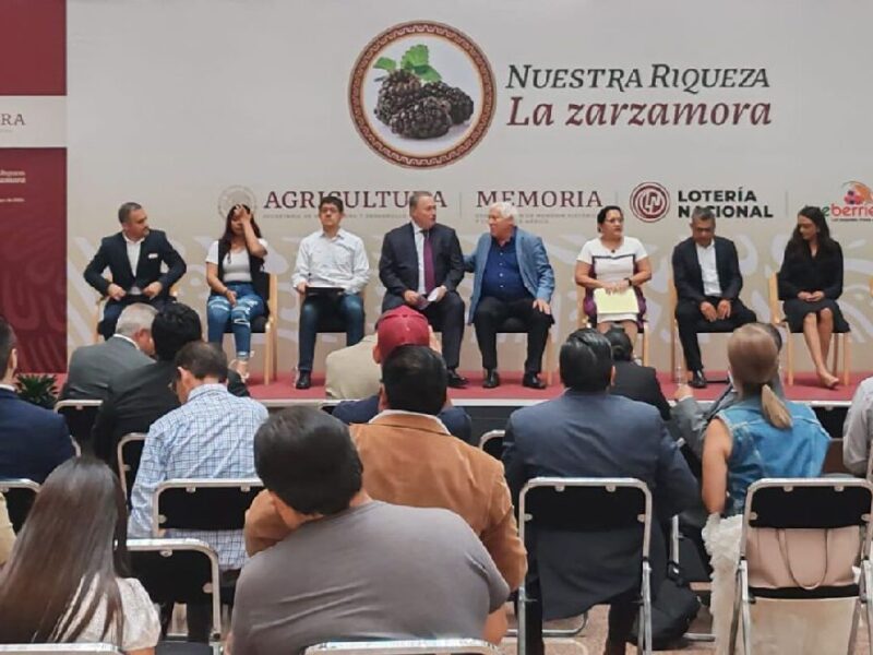 La zarzamora mexicana: estrella en las exportaciones agrícolas