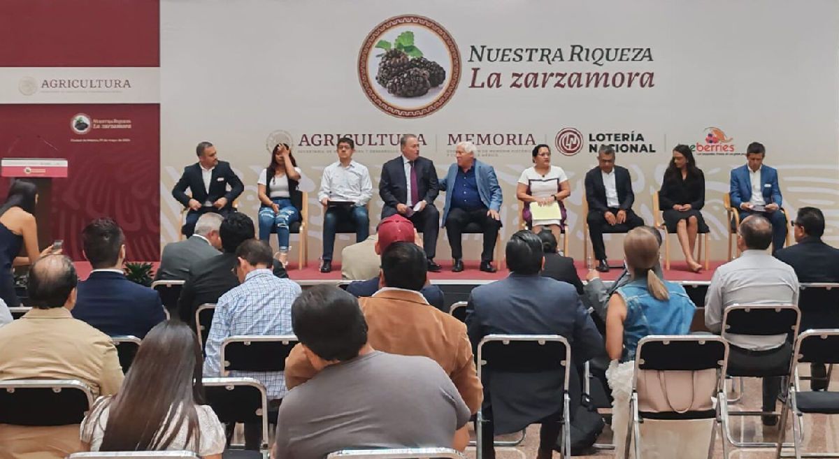 lidera exportaciones la zarzamora mexicana