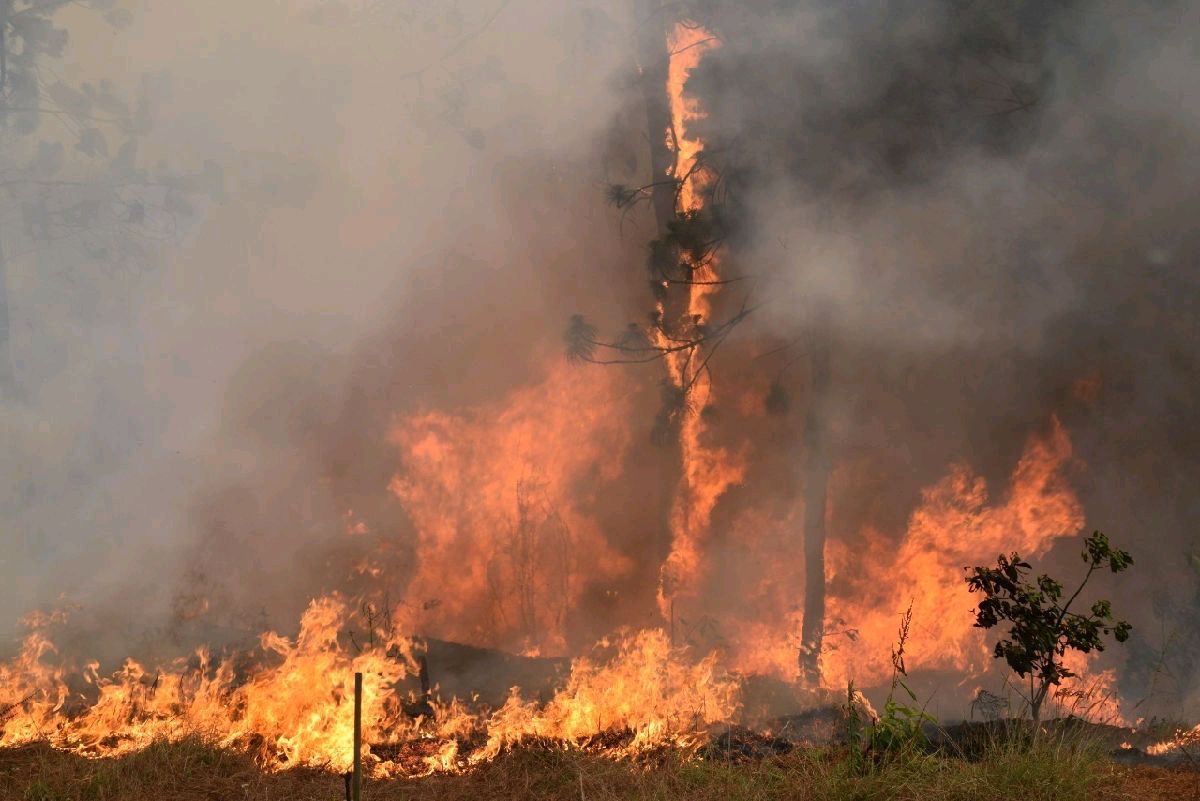 Michoacán suma más de 25 mil hectáreas afectadas por incendios forestales
