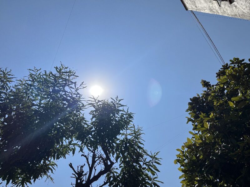 Ola de calor suma 48 victimas mortales en México