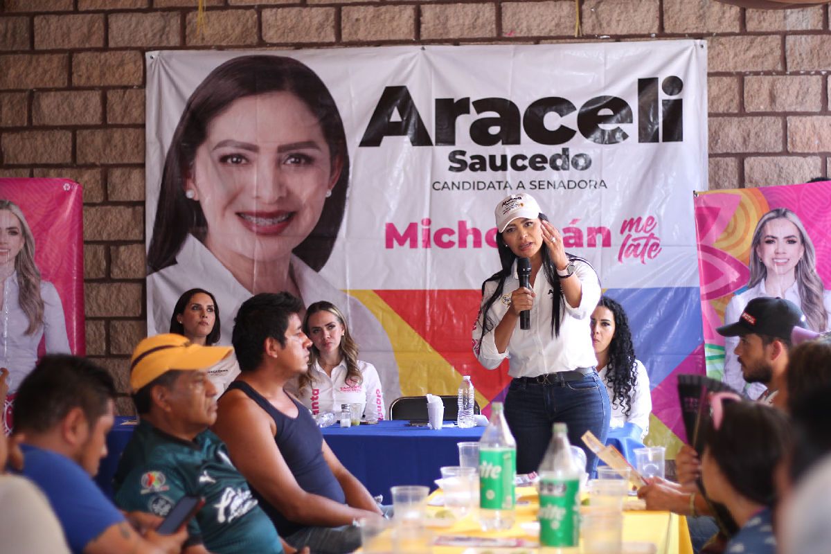 reactivación económica pátzcuaro araceli saucedo