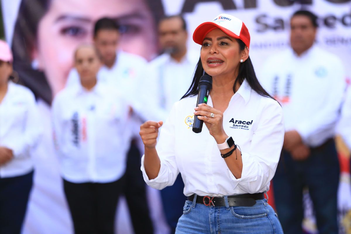 renacer a méxico araceli saucedo