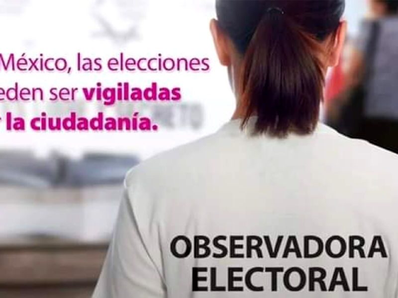 suman más de 38 mil solicitudes para observadores electorales