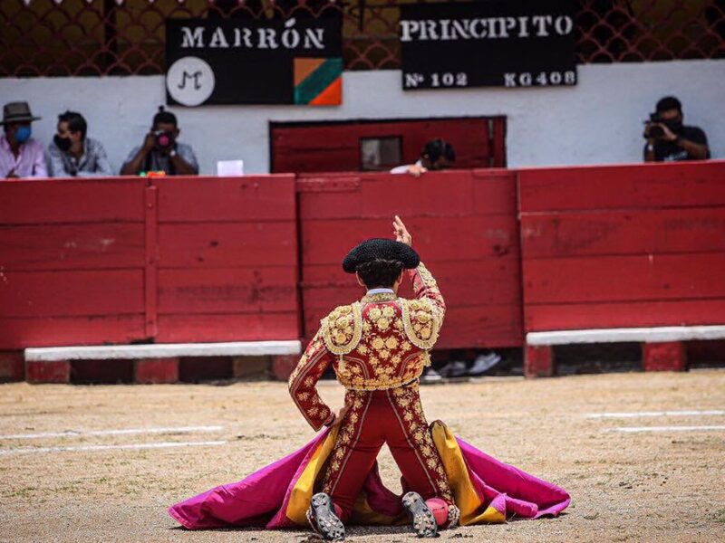 suspensión corridas de toros plaza méxico