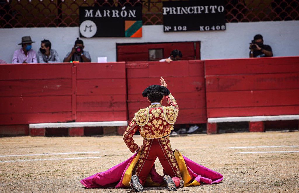 suspensión corridas de toros plaza méxico