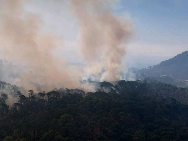Helicóptero se une al combate del incendio forestal en Uruapan