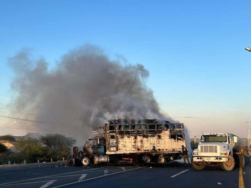 Zacatecas se despierta entre violencia y bloqueos viales