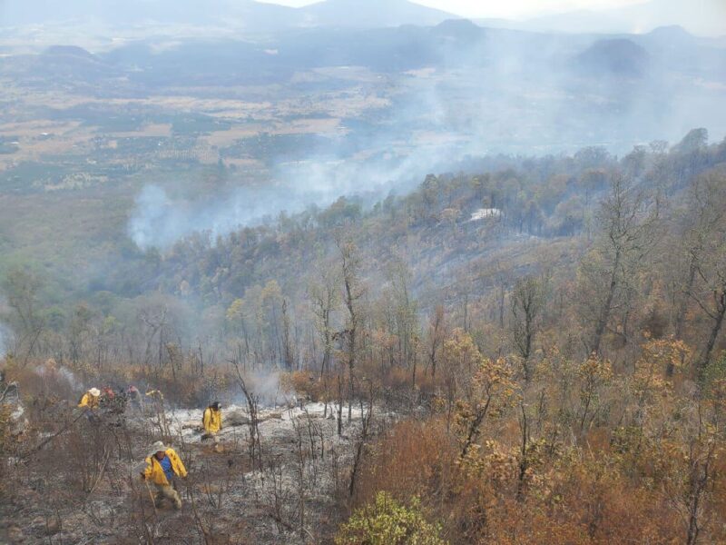 brigadistas incendios forestales michoacán 1