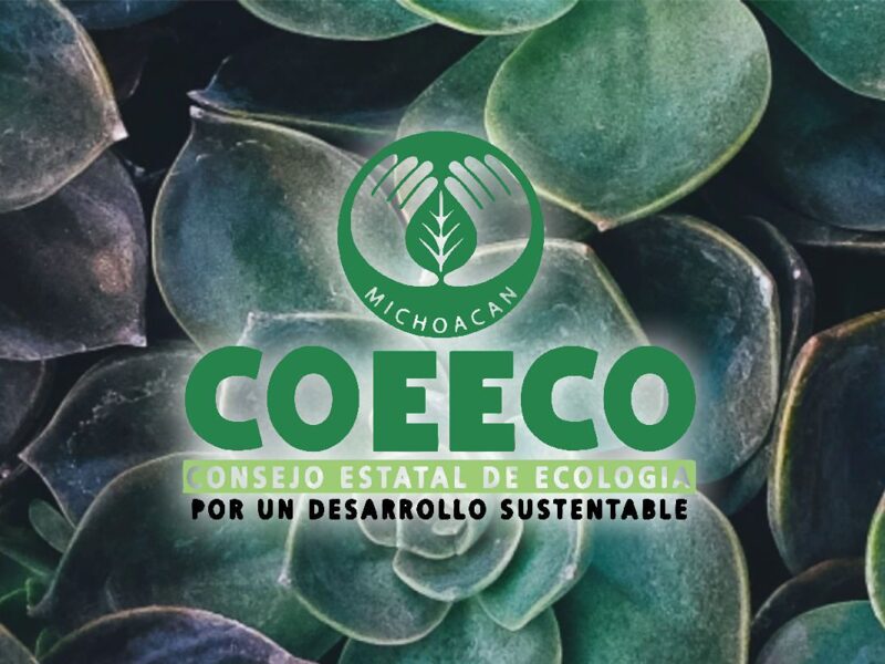 Consejo Estatal de Ecología opera sin presupuesto