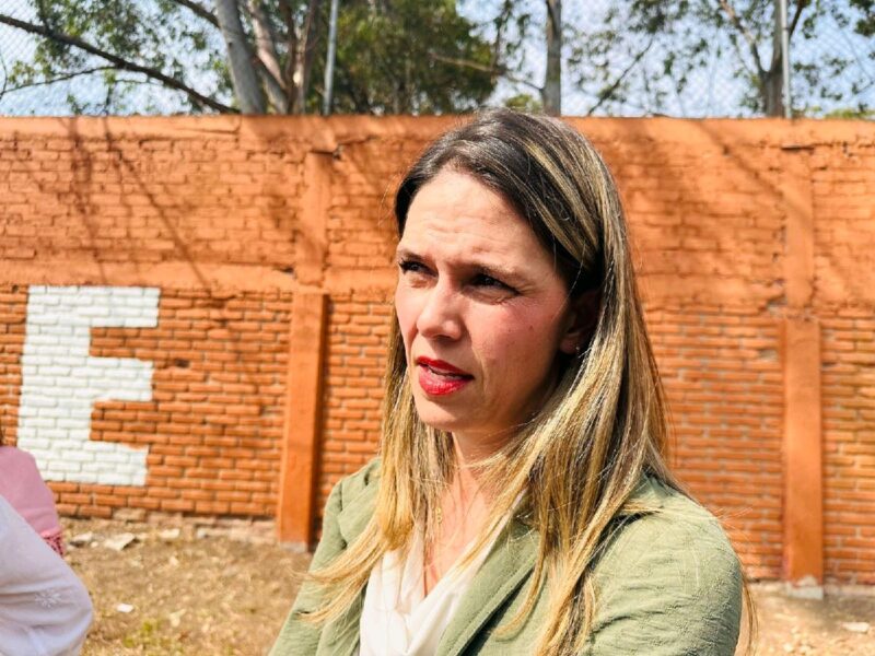 Daniela de los Santos elección ciudadana
